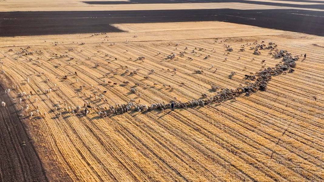 Tuz Gölü yazla birlikte renk değiştirdi 7