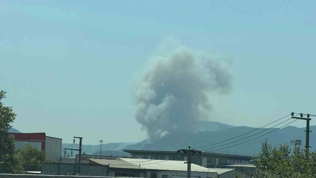Sakarya’da 3 gün arayla ikinci yangın: Karayolu trafiğe kapatıldı 8