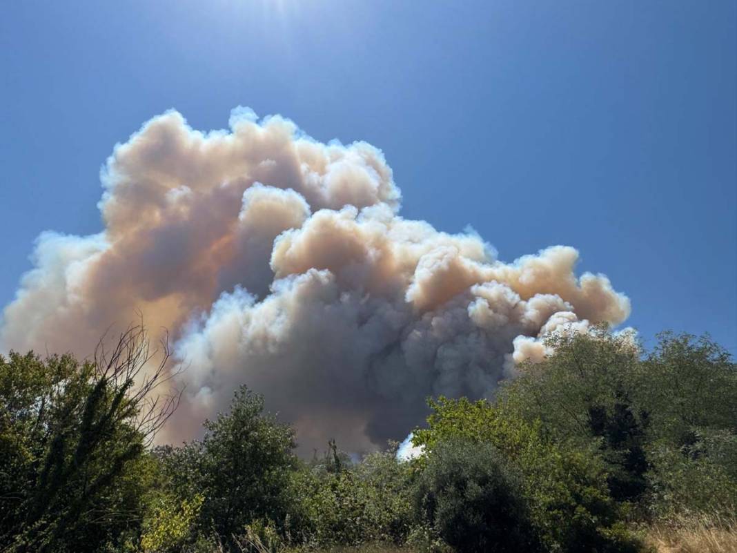Sakarya’da 3 gün arayla ikinci yangın: Karayolu trafiğe kapatıldı 4