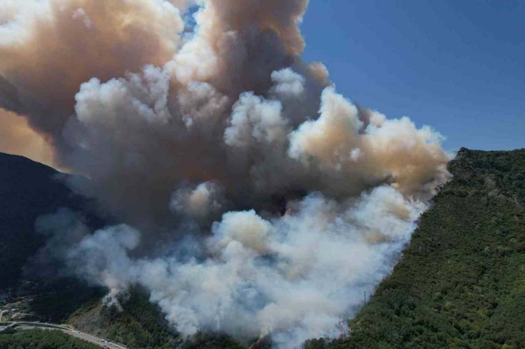 Sakarya’da 3 gün arayla ikinci yangın: Karayolu trafiğe kapatıldı 6
