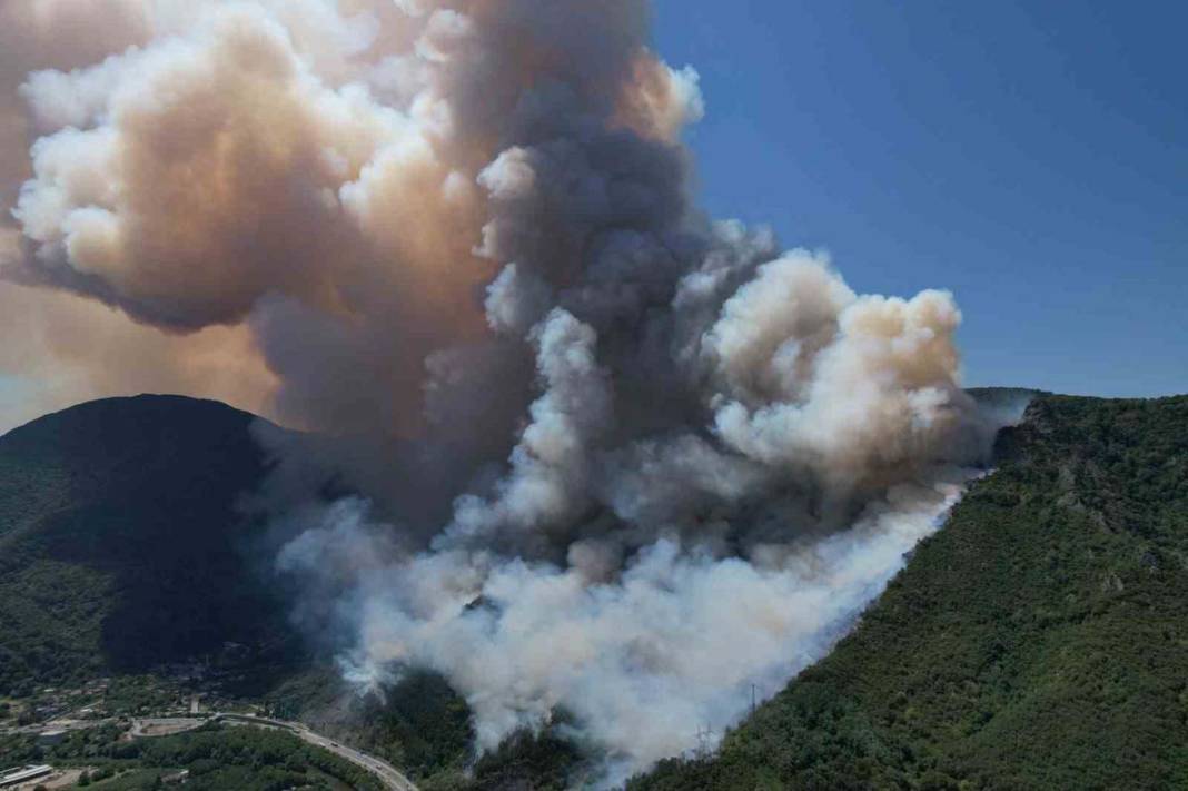 Sakarya’da 3 gün arayla ikinci yangın: Karayolu trafiğe kapatıldı 3