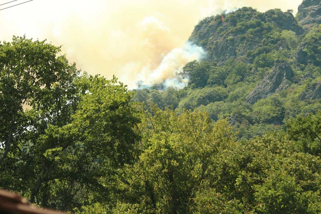 Sakarya’da 3 gün arayla ikinci yangın: Karayolu trafiğe kapatıldı 1