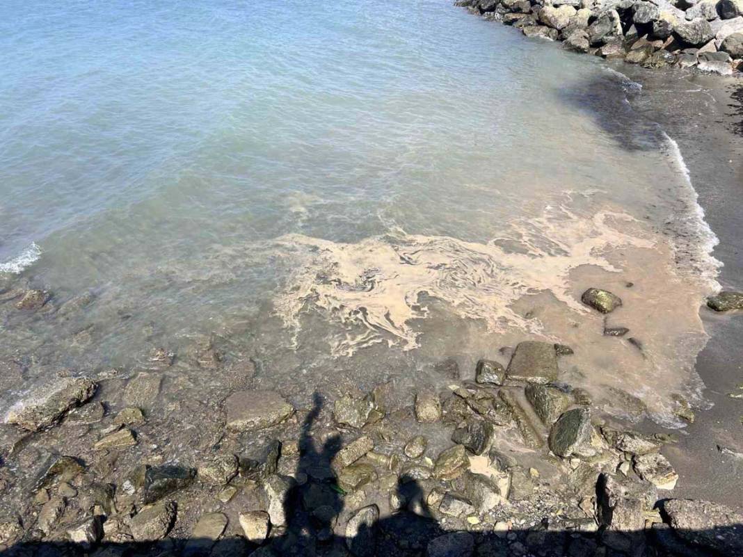 Akdeniz’de deniz yüzeyindeki beyaz tabaka tedirgin etti 5