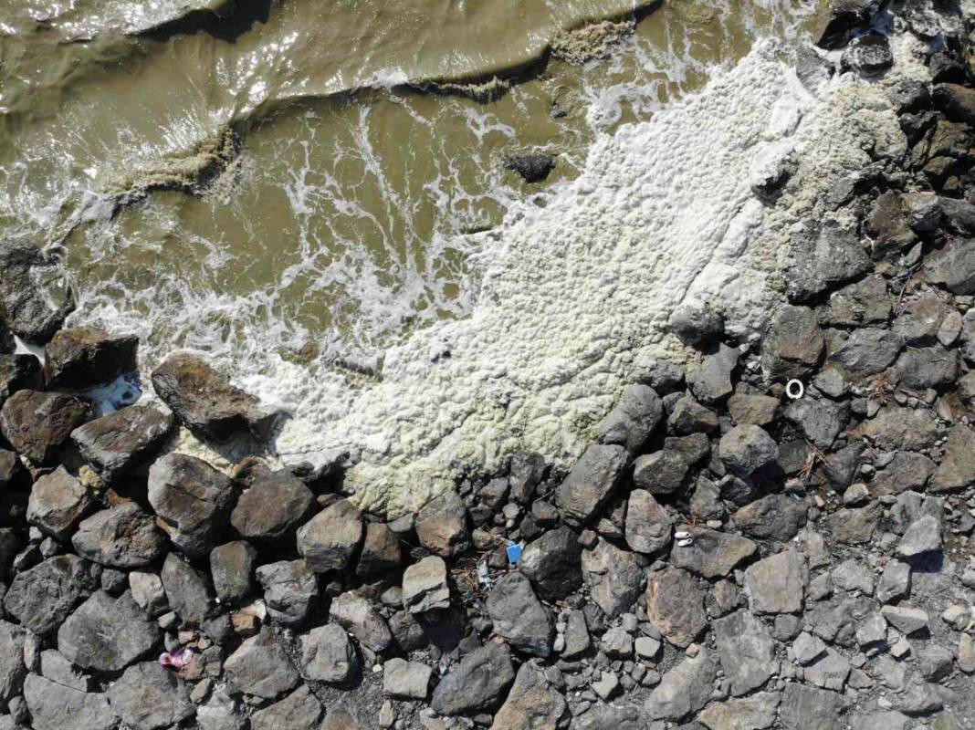 Akdeniz’de deniz yüzeyindeki beyaz tabaka tedirgin etti 1