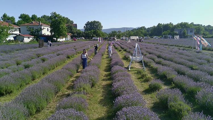 60 dönüm arazide üretim yapıyorlar! Kadınların emeği karşılığını alıyor: Hasattan ayrı ziyaretçilerden ayrı para kazanıyorlar 4