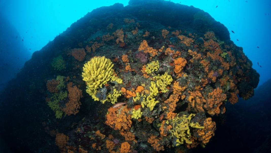 Türkiye'nin gizli cenneti: Saklı koyların ve tarihin buluştuğu o yer! 7