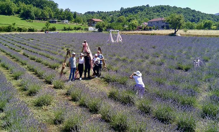 60 dönüm arazide üretim yapıyorlar! Kadınların emeği karşılığını alıyor: Hasattan ayrı ziyaretçilerden ayrı para kazanıyorlar 3