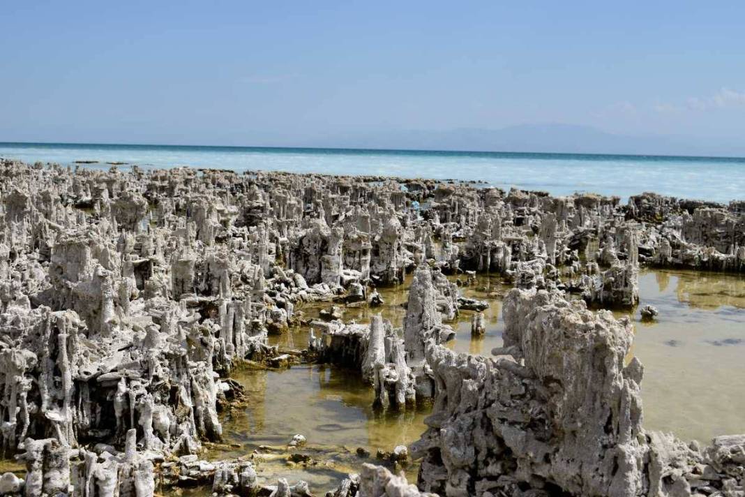 Van Gölü’nde dev keşif! Bilinenlerin en büyüğü: 80 metrelik mikrobiyalit ortaya çıktı 6