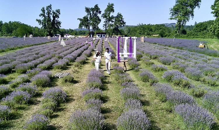60 dönüm arazide üretim yapıyorlar! Kadınların emeği karşılığını alıyor: Hasattan ayrı ziyaretçilerden ayrı para kazanıyorlar 5