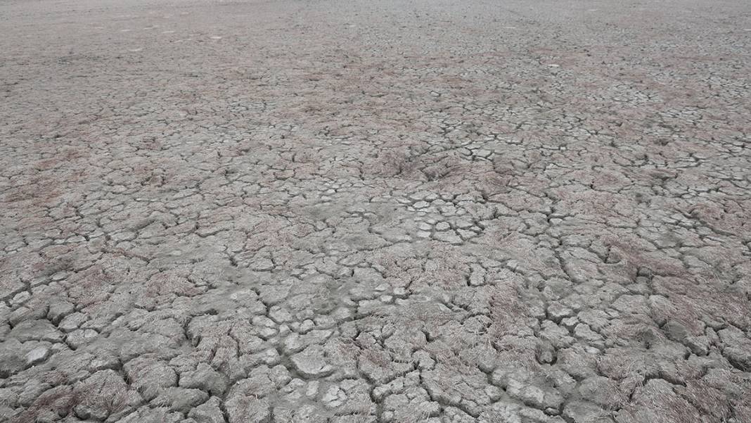 Hatay'da iklim krizi derinleşiyor: Milleyha Kuş Cenneti kuraklığa teslim 5