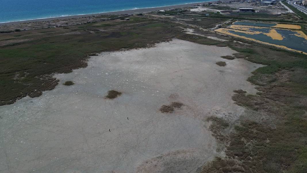 Hatay'da iklim krizi derinleşiyor: Milleyha Kuş Cenneti kuraklığa teslim 1