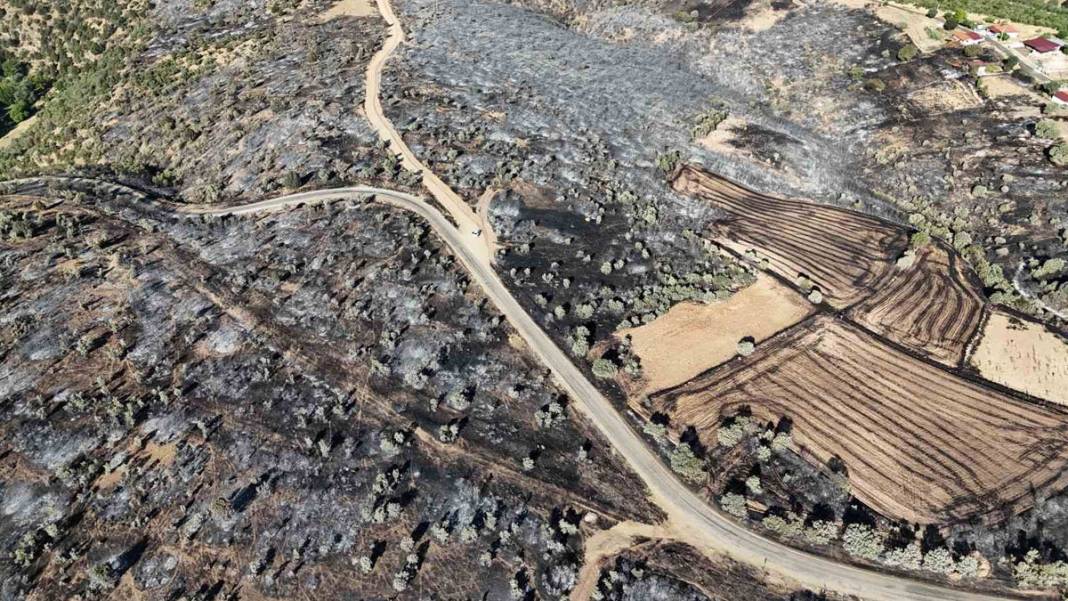 Uşak'taki orman yangını 2. gününde: Tahribat gün ışığıyla ortaya çıktı 2