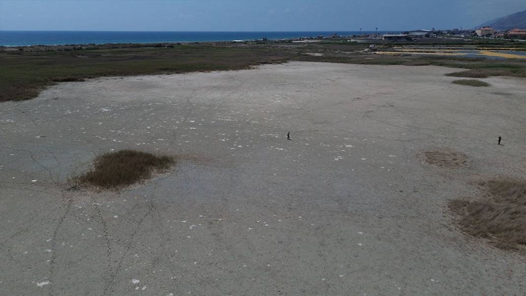 Hatay'da iklim krizi derinleşiyor: Milleyha Kuş Cenneti kuraklığa teslim 2