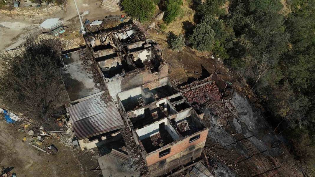 Uşak'taki orman yangını 2. gününde: Tahribat gün ışığıyla ortaya çıktı 8