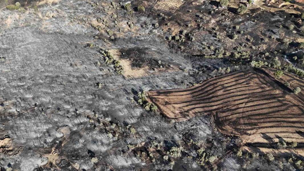 Uşak'taki orman yangını 2. gününde: Tahribat gün ışığıyla ortaya çıktı 4