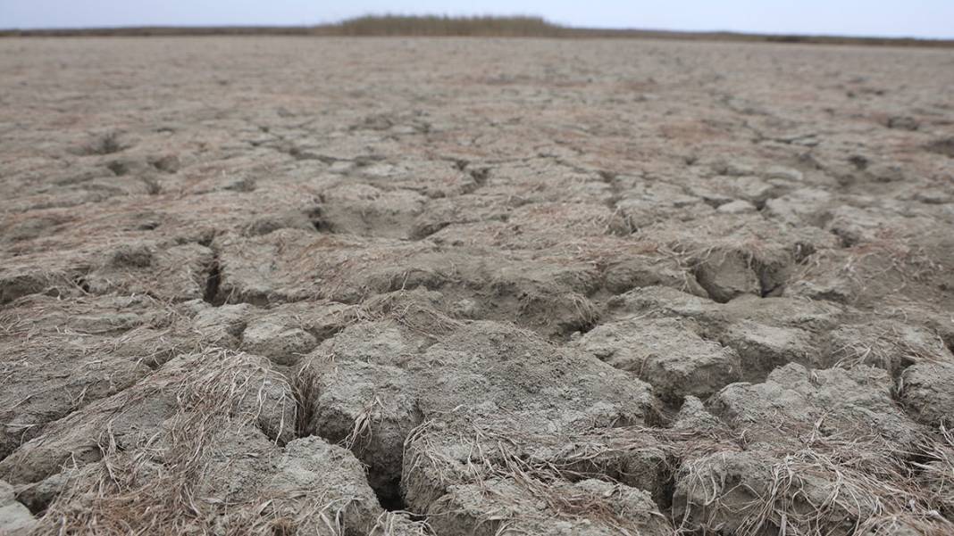 Hatay'da iklim krizi derinleşiyor: Milleyha Kuş Cenneti kuraklığa teslim 7