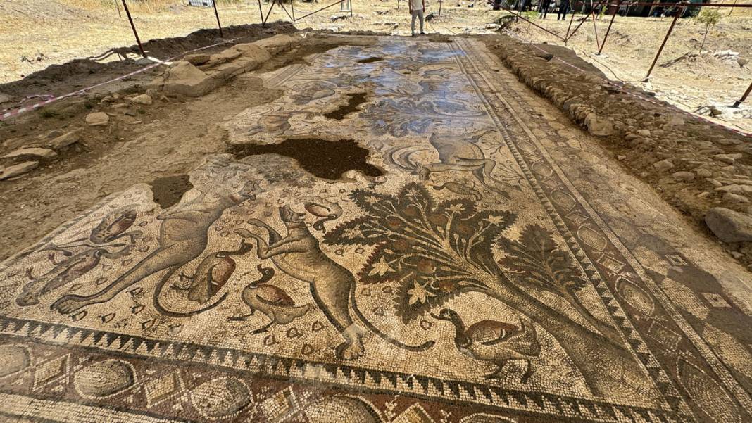 Vişne dikmek isterken Roma Hamamı buldu 7