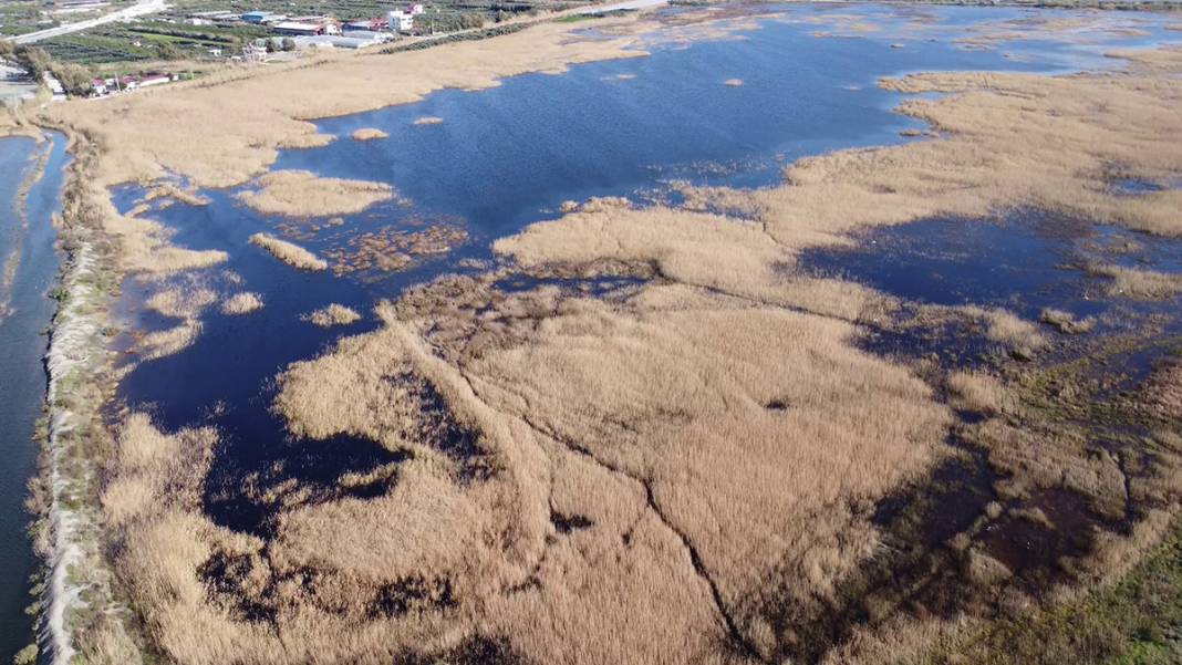 Hatay'da iklim krizi derinleşiyor: Milleyha Kuş Cenneti kuraklığa teslim 12