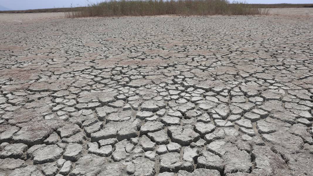 Hatay'da iklim krizi derinleşiyor: Milleyha Kuş Cenneti kuraklığa teslim 10