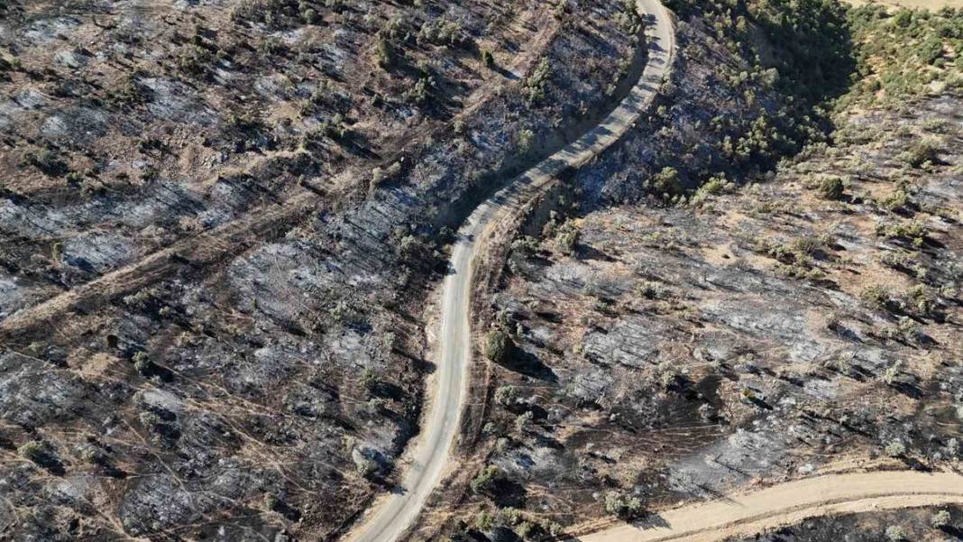 Uşak'taki orman yangını 2. gününde: Tahribat gün ışığıyla ortaya çıktı 5