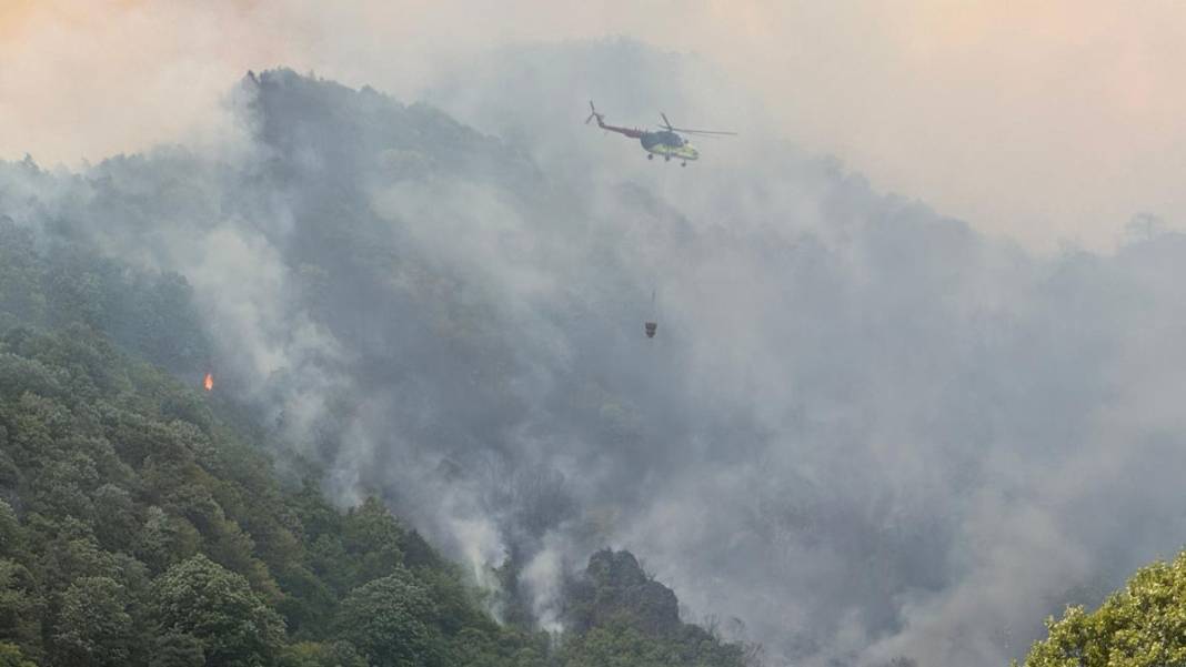 Sakarya’da 3 gün arayla ikinci yangın: Karayolu trafiğe kapatıldı 9
