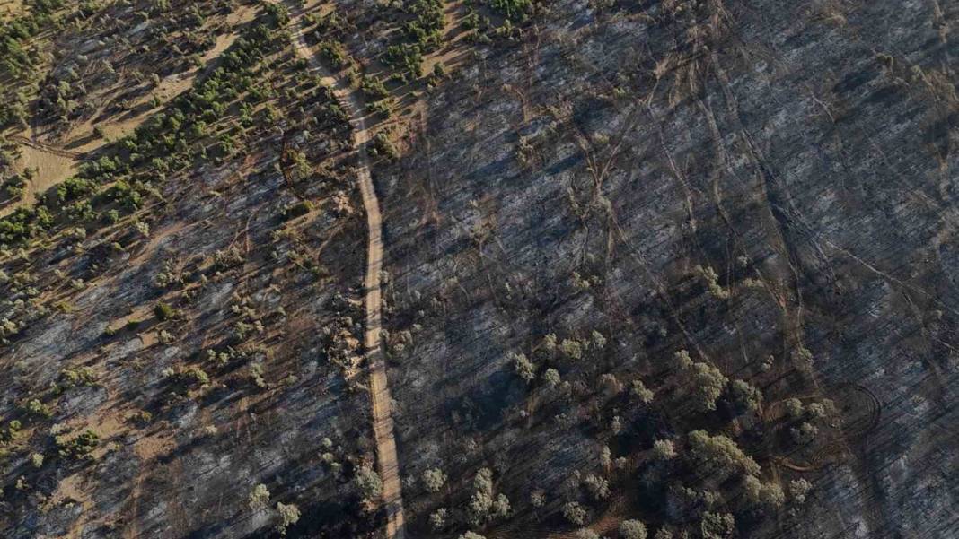 Uşak'taki orman yangını 2. gününde: Tahribat gün ışığıyla ortaya çıktı 7