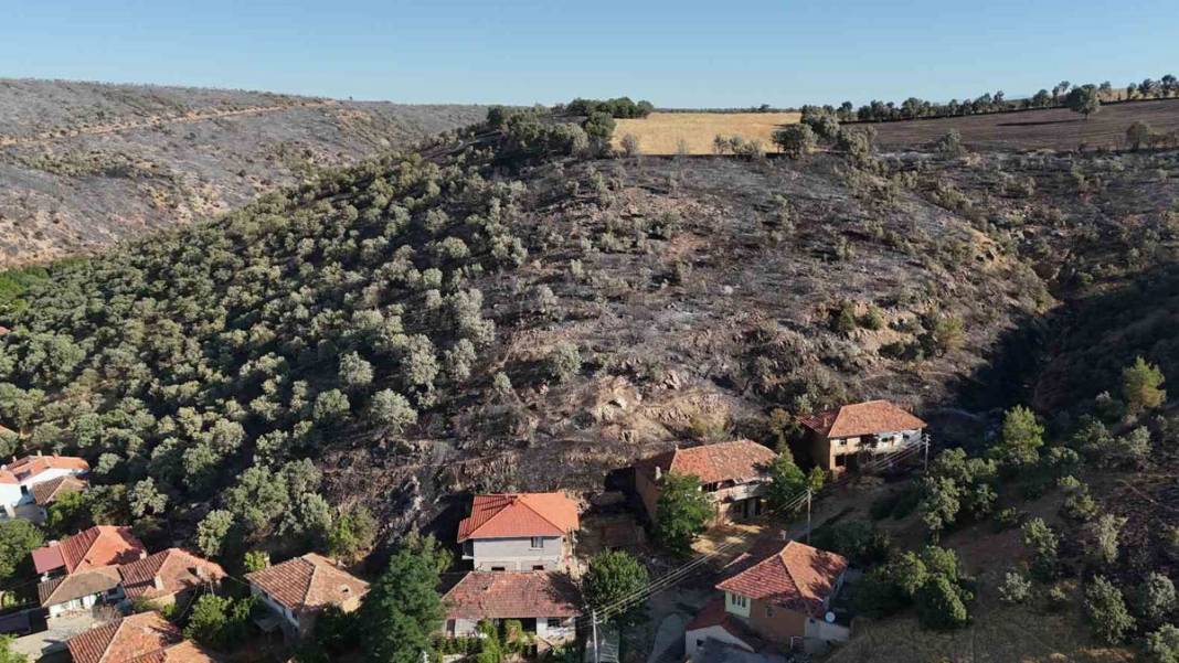 Uşak'taki orman yangını 2. gününde: Tahribat gün ışığıyla ortaya çıktı 6