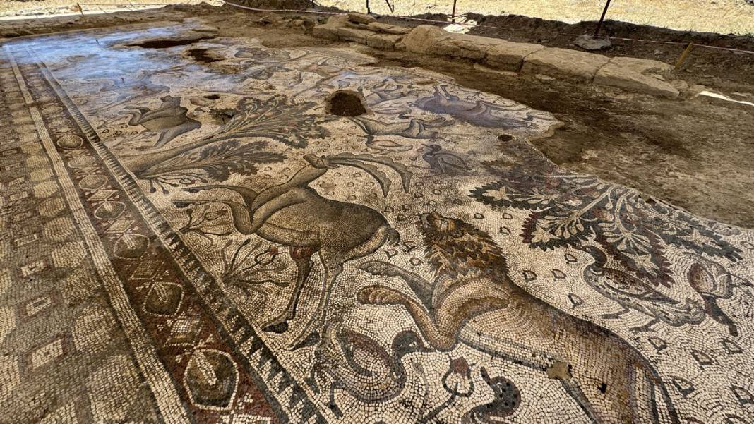 Vişne dikmek isterken Roma Hamamı buldu 1