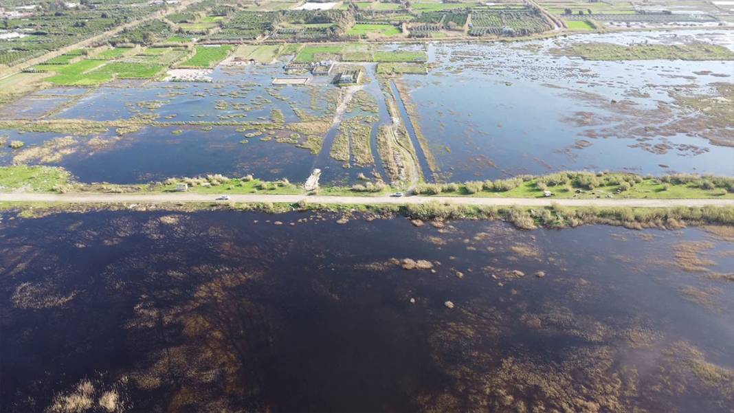 Hatay'da iklim krizi derinleşiyor: Milleyha Kuş Cenneti kuraklığa teslim 11