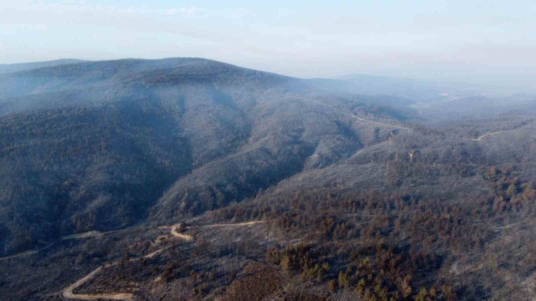 Gelibolu küle döndü: Acı tablo havadan görüntülendi 5