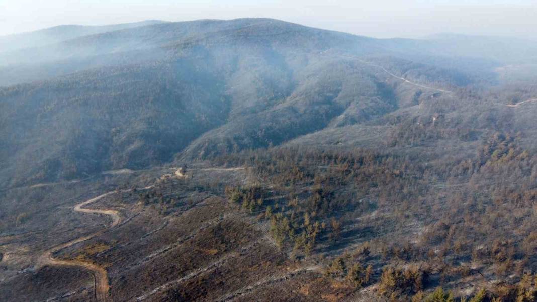 Gelibolu küle döndü: Acı tablo havadan görüntülendi 4