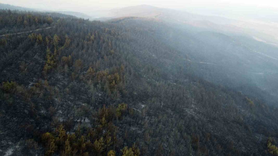 Gelibolu küle döndü: Acı tablo havadan görüntülendi 3