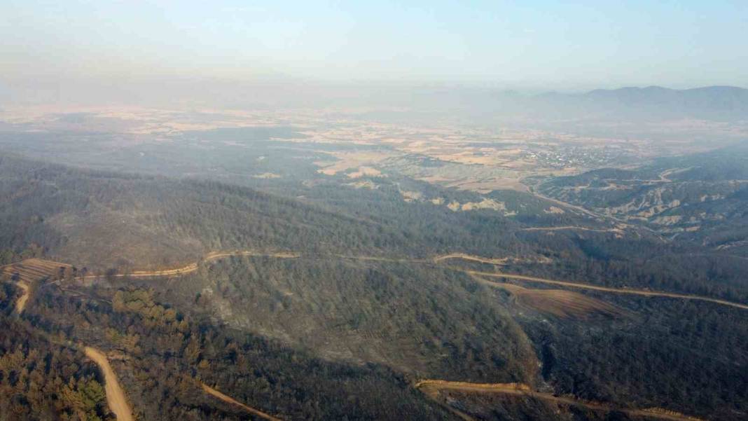 Gelibolu küle döndü: Acı tablo havadan görüntülendi 2