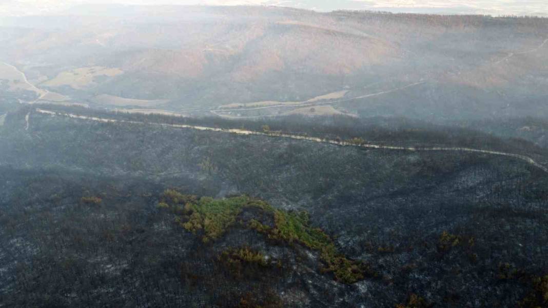 Gelibolu küle döndü: Acı tablo havadan görüntülendi 6