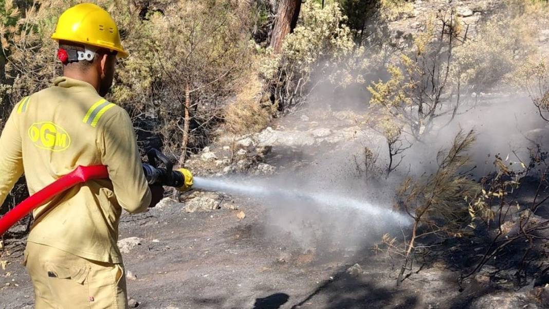 Silifke'deki yangın sonrası tahribat havadan görüntülendi 7
