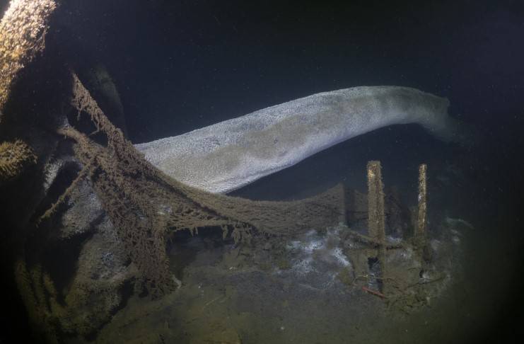 Marmara Depremi'nin deniz altında kalan enkazı 26 yıl sonra görüntülendi 8