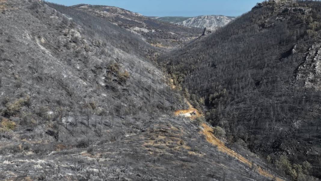 Silifke'deki yangın sonrası tahribat havadan görüntülendi 6