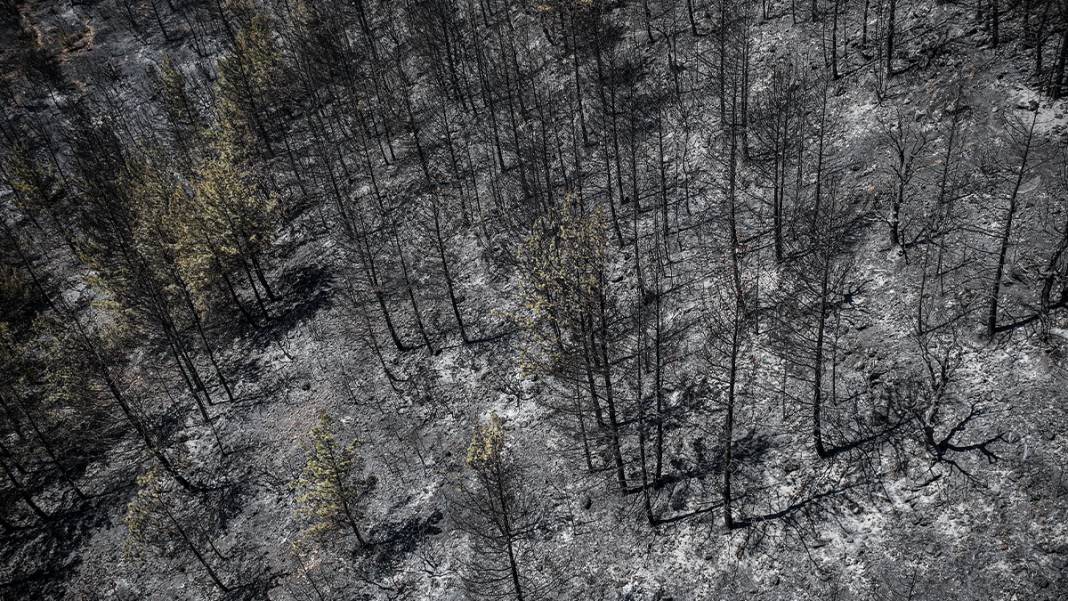 Silifke'deki yangın sonrası tahribat havadan görüntülendi 2