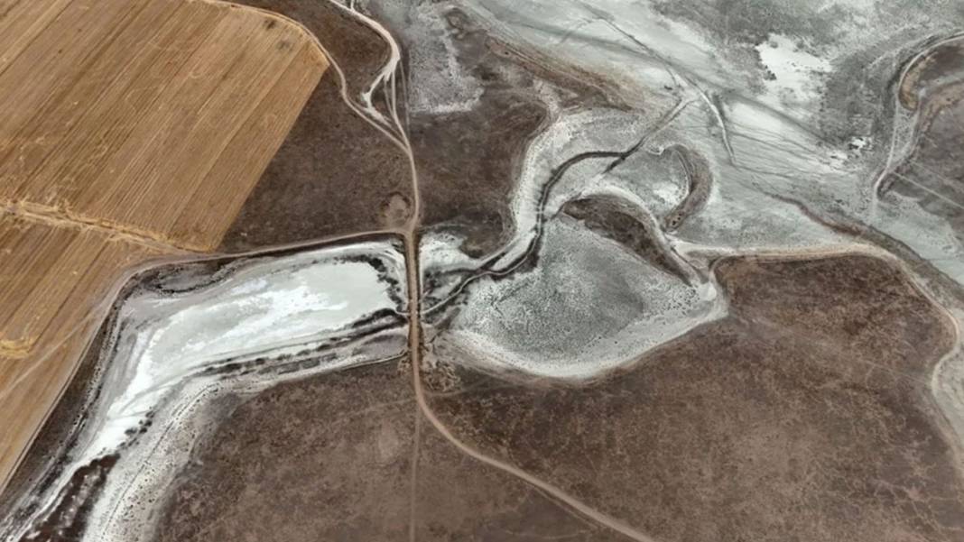 Flamingo cennetiydi... Seyfe Gölü'nden geriye çorak topraklar kaldı 4