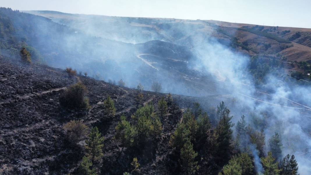 Çorum'daki yangında köy mezarlığı küle döndü 4