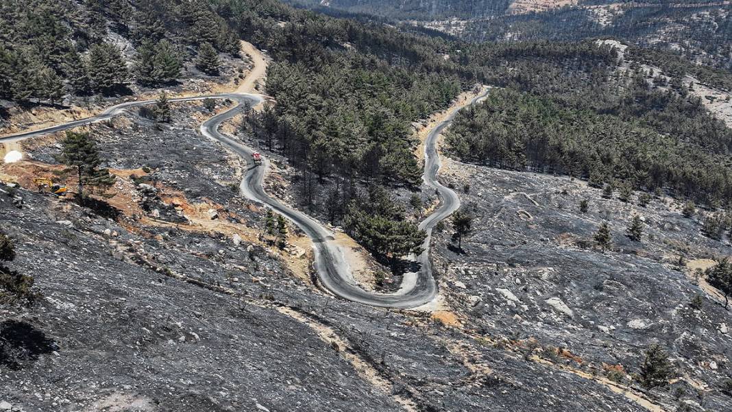 Silifke'deki yangın sonrası tahribat havadan görüntülendi 4