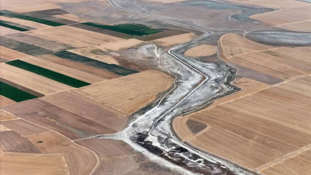 Flamingo cennetiydi... Seyfe Gölü'nden geriye çorak topraklar kaldı 5