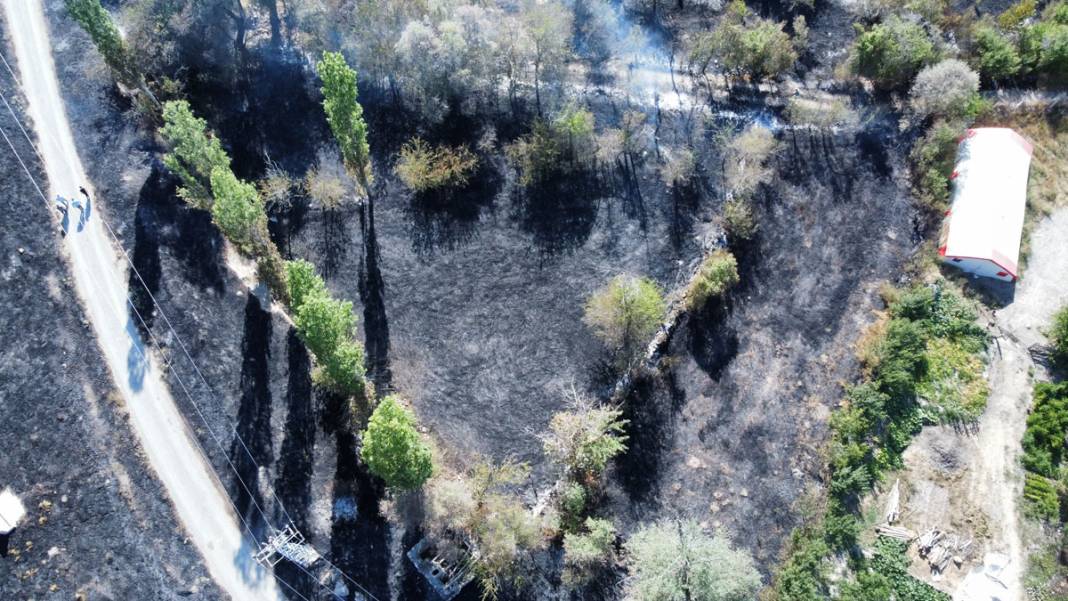 Çorum'daki yangında köy mezarlığı küle döndü 3