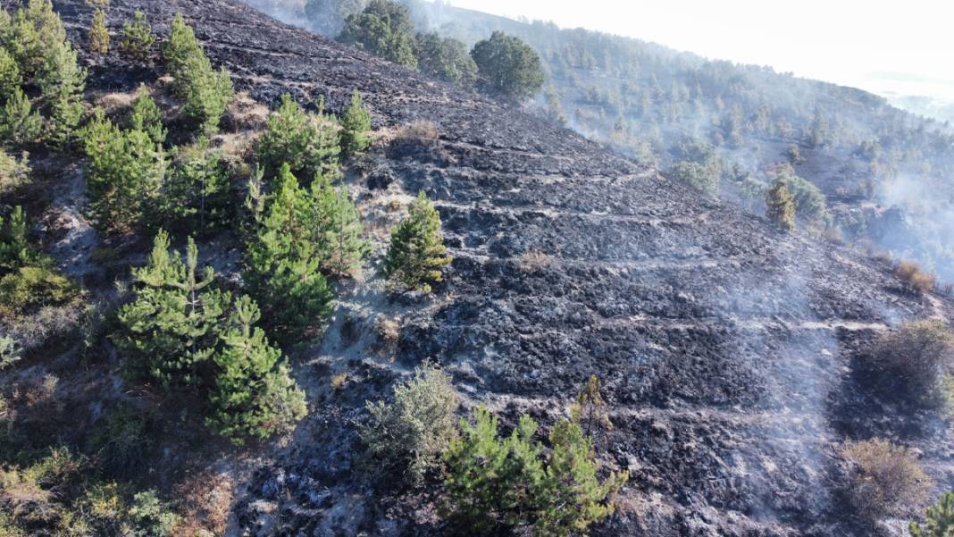 Çorum'daki yangında köy mezarlığı küle döndü 6