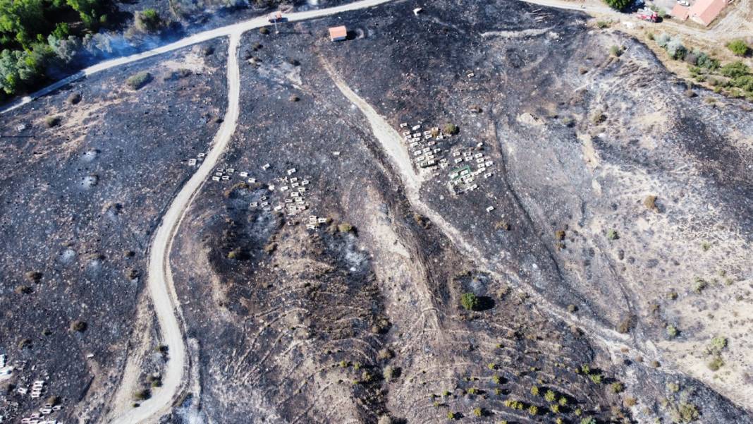 Çorum'daki yangında köy mezarlığı küle döndü 2