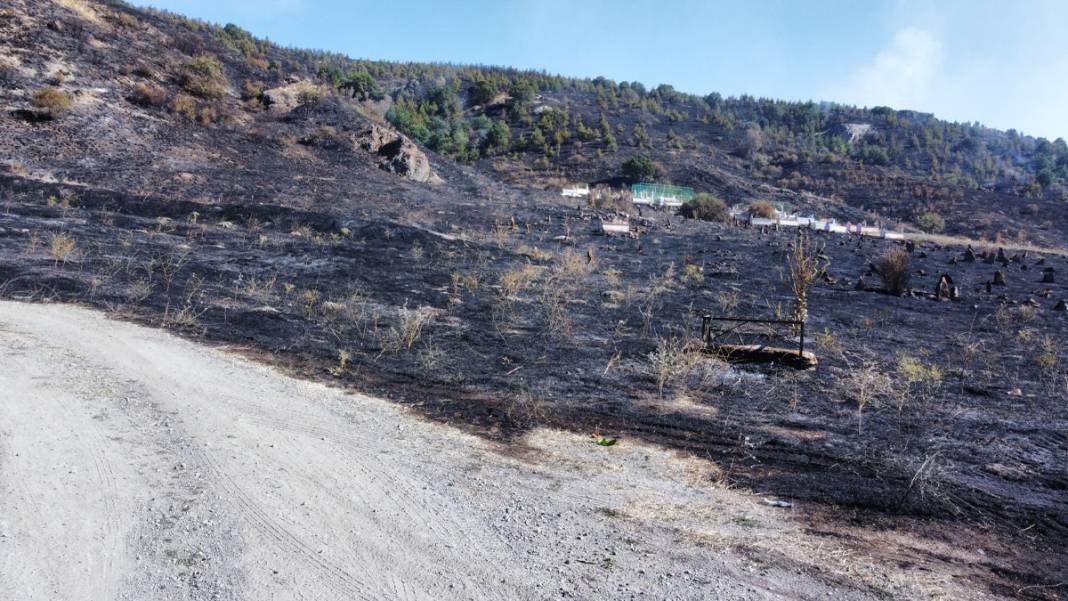 Çorum'daki yangında köy mezarlığı küle döndü 1