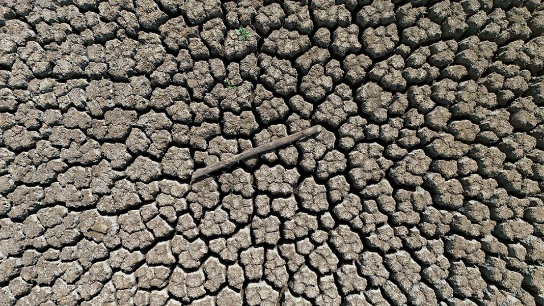 Hayvanların su kaynağıydı kuraklık vurdu! Taşlık Göleti yok oldu 3