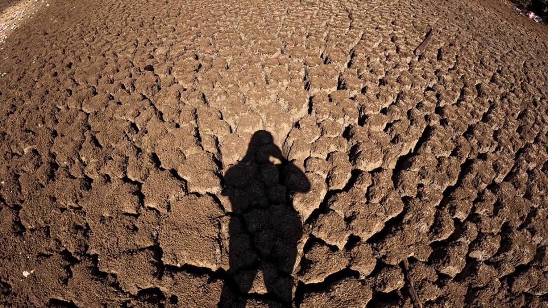 Hayvanların su kaynağıydı kuraklık vurdu! Taşlık Göleti yok oldu 4