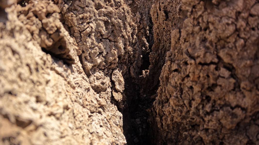 Hayvanların su kaynağıydı kuraklık vurdu! Taşlık Göleti yok oldu 6