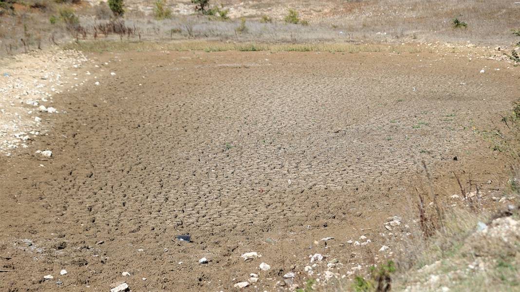 Hayvanların su kaynağıydı kuraklık vurdu! Taşlık Göleti yok oldu 5